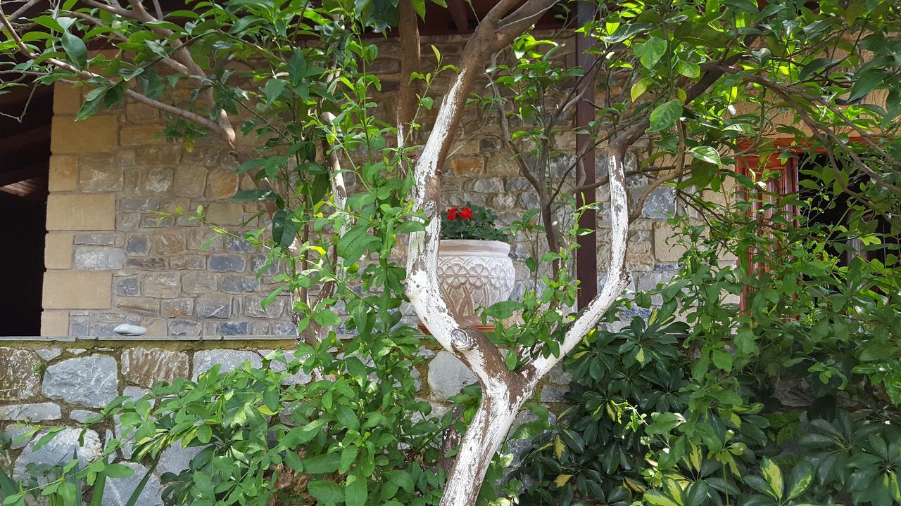 Villa Onar A Stone House With Amazing View 斯陶帕 外观 照片